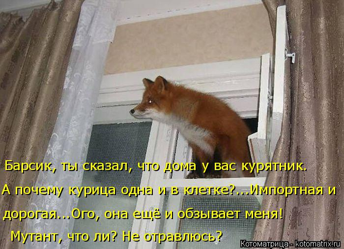 kotomatritsa_V (1) (700x508, 281Kb)