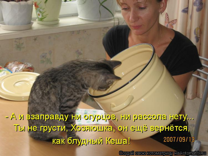 kotomatritsa_x (1) (700x524, 346Kb)