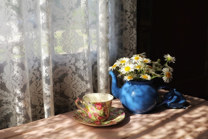 painting-window-flowers-yellow-curtain-cup-spring-flowerpot-flower-plant-vase-2048x1365-px-still-life-still-life-photography-coffee-cup-porcelain-ceramic-832753 (700x466, 87Kb)