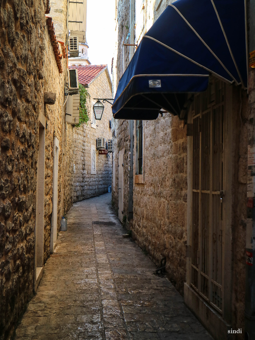 IMG_8136 (525x700, 488Kb)