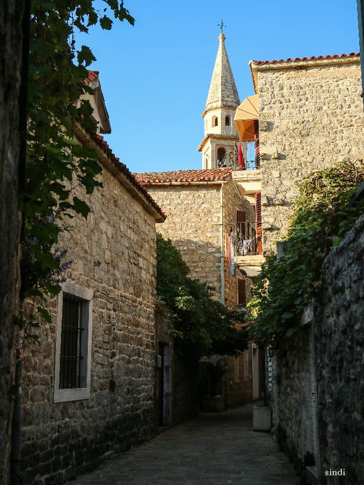 IMG_8142 (525x700, 483Kb)