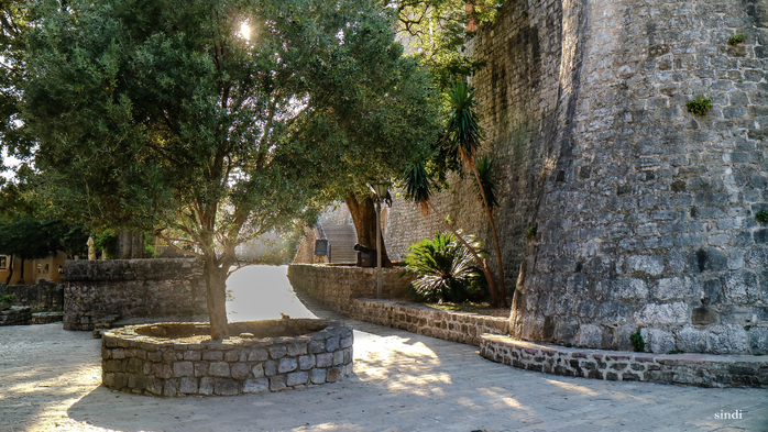 IMG_8164 (700x393, 445Kb)