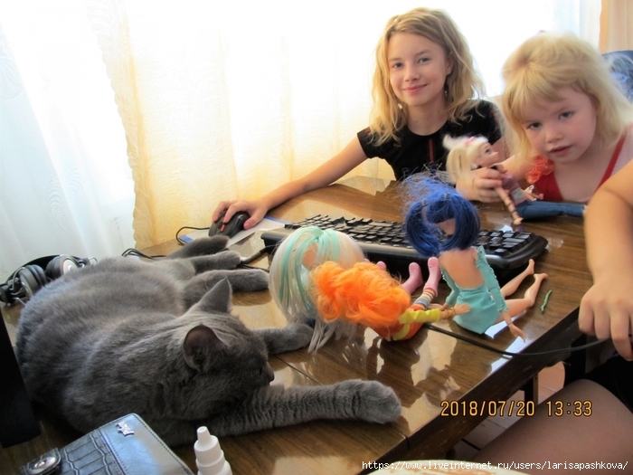 3924376_IMG_8654 (700x525, 249Kb)