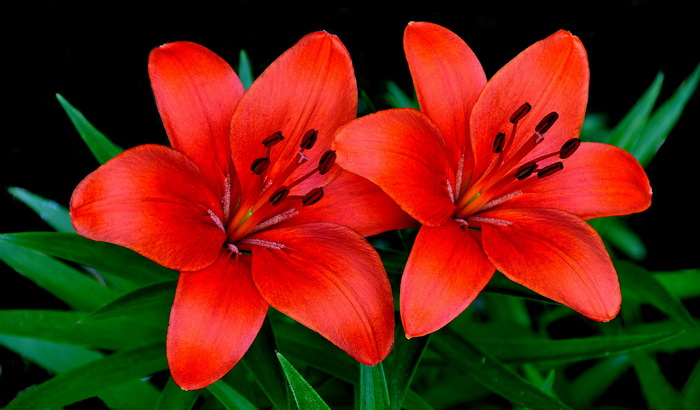 15 (700x410, 269Kb)