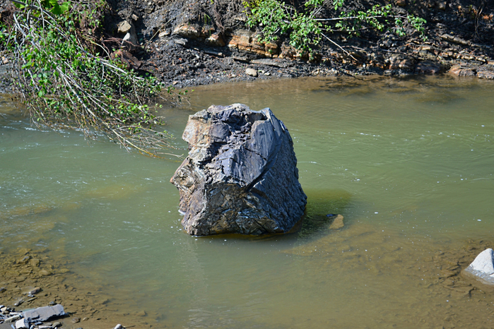 DSC_2289 (700x466, 503Kb)