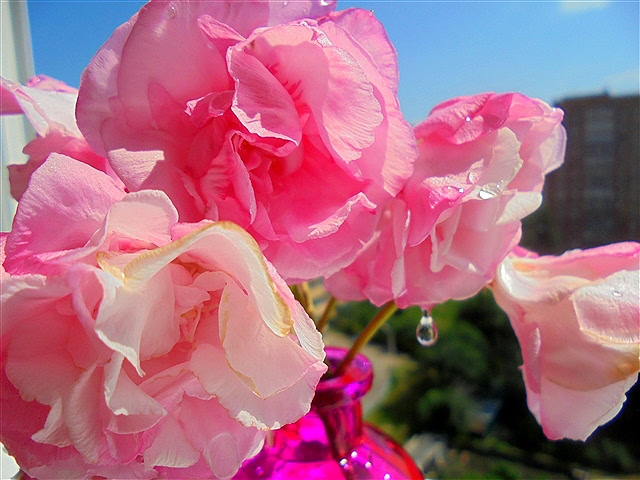 9 (640x480, 299Kb)