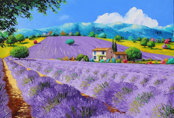 lavenders under sunshine janiaczyk_1 (700x476, 460Kb)