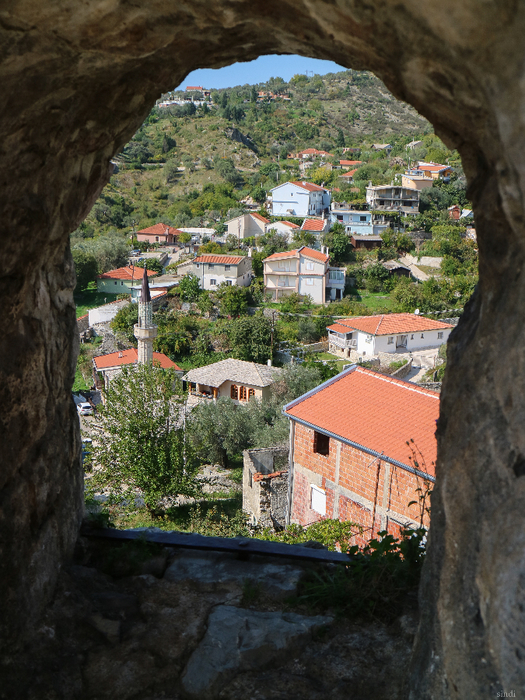 IMG_8294 (525x700, 534Kb)