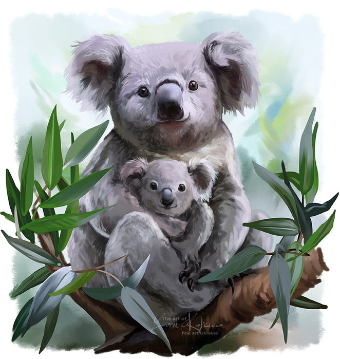 two_koalas_by_kajenna-dbcgihz (662x700, 399Kb)