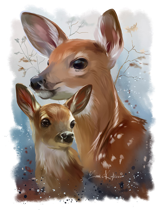 wildlife__sika_deer_by_kajenna-dc3yjgo (535x700, 240Kb)