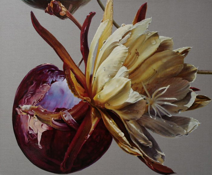 цветы от художницы Anne Middleton2 (700x578, 533Kb)