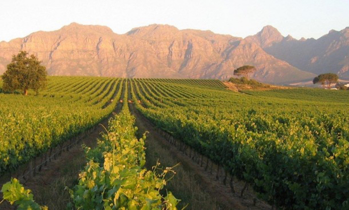 Южная Африка и вино 5 (700x421, 317Kb)