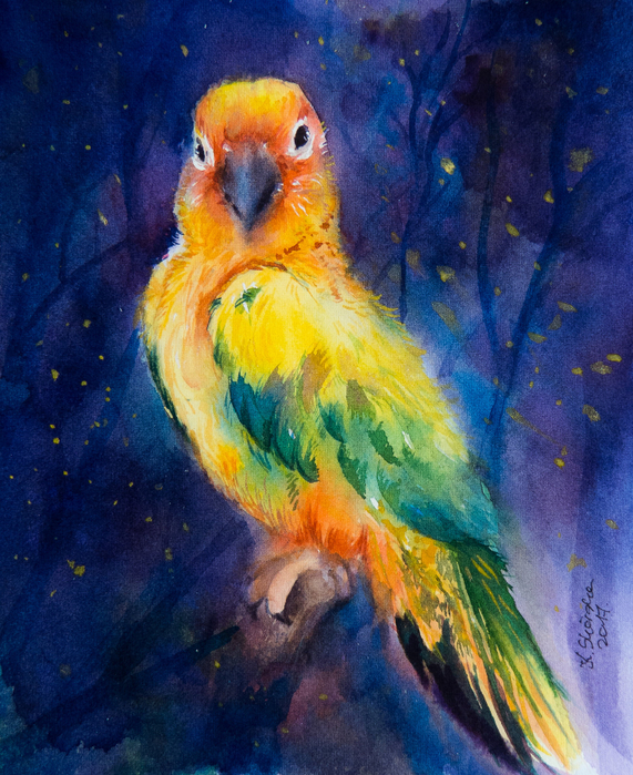 card_13_parrot_by_earlyoctober-db83u8x (571x700, 576Kb)