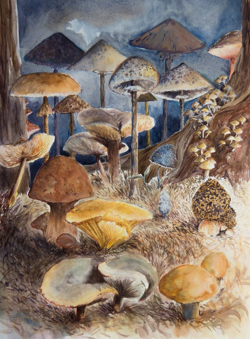 schrooms_by_earlyoctober-dbto5fk (516x700, 482Kb)