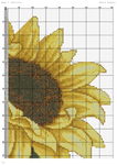  Sunflower (DMC)-002 (494x700, 427Kb)