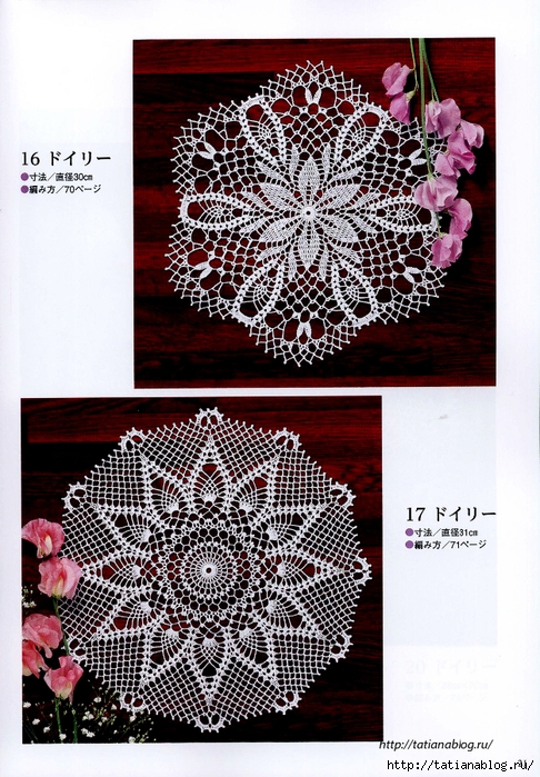 Suteki_Pineapple_Crochet_Laces_2011.page019 copy (486x700, 344Kb)