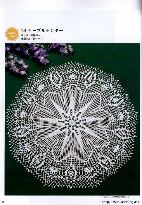 Suteki_Pineapple_Crochet_Laces_2011.page024 copy (486x700, 389Kb)
