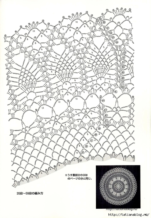 Suteki_Pineapple_Crochet_Laces_2011.page045 copy (486x700, 290Kb)