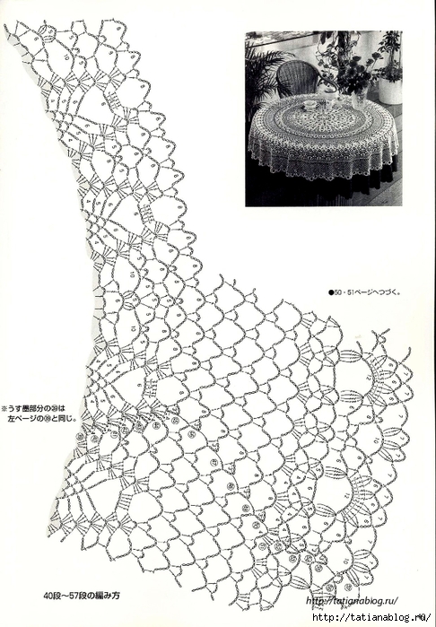 Suteki_Pineapple_Crochet_Laces_2011.page047 copy (486x700, 257Kb)