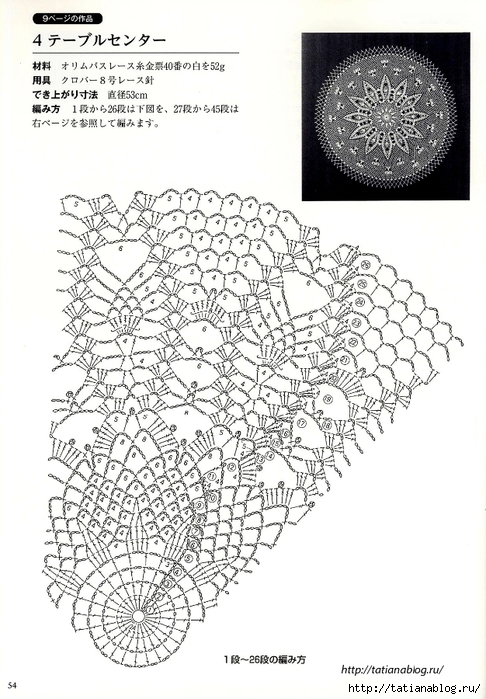 Suteki_Pineapple_Crochet_Laces_2011.page052 copy (486x700, 254Kb)