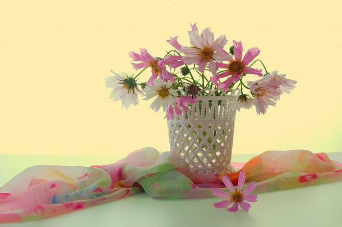 2416892_800n (700x464, 204Kb)