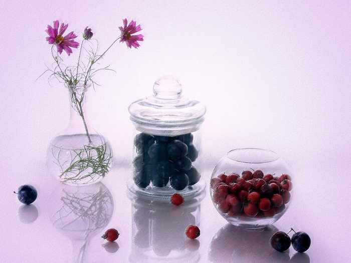 2518885_800n (700x525, 277Kb)