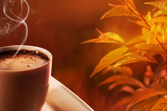 hot-chocolate-on-an-autumn-day-perfect (1) (700x466, 256Kb)