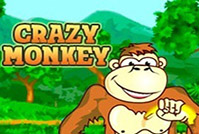 crazy-monkey (199x134, 38Kb)