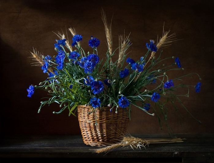 autumn_still_life_10 (700x534, 85Kb)