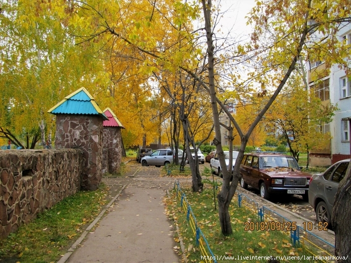 sharypovo/3924376_sharypovo_osen_zolotay_2018_1 (700x525, 425Kb)