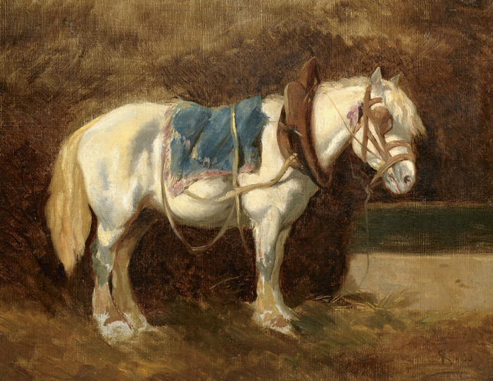 Rudolf-Koller-gesattelter-schimmel (700x542, 462Kb)