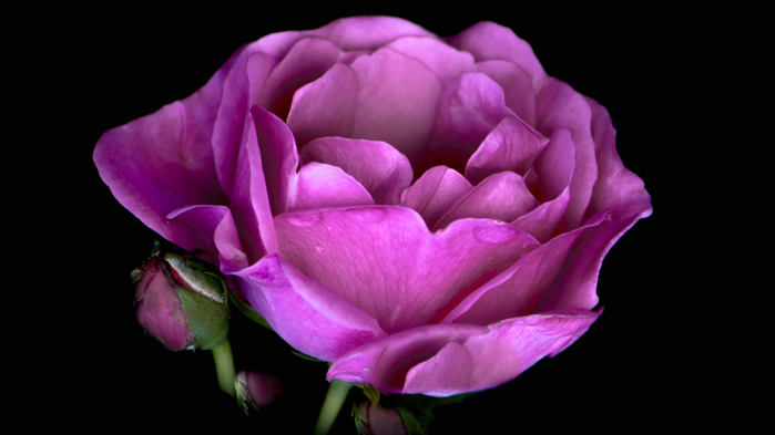 24 (700x393, 166Kb)