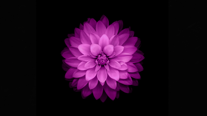 36 (700x393, 88Kb)