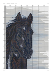 Чорный конь (ПНК Кирова)-003 (494x700, 351Kb)