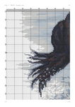  Чорный конь (ПНК Кирова)-005 (494x700, 306Kb)