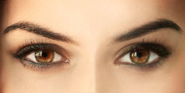 4015725_11_1_ (600x303, 29Kb)