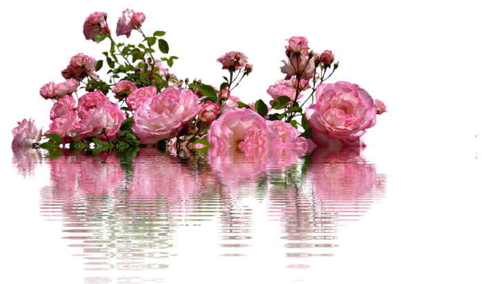 bd239ae2265bf848ddb055719c3ec3d7ssssssssssssssssssssssssssssssssss (700x411, 393Kb)