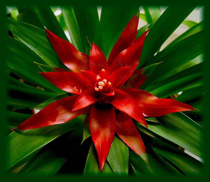 1 (700x607, 507Kb)