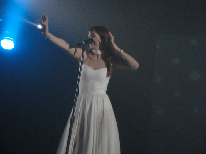 DSC04156 (700x525, 343Kb)