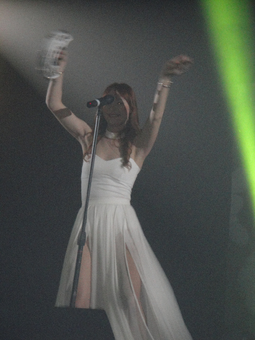 DSC04165 (525x700, 352Kb)