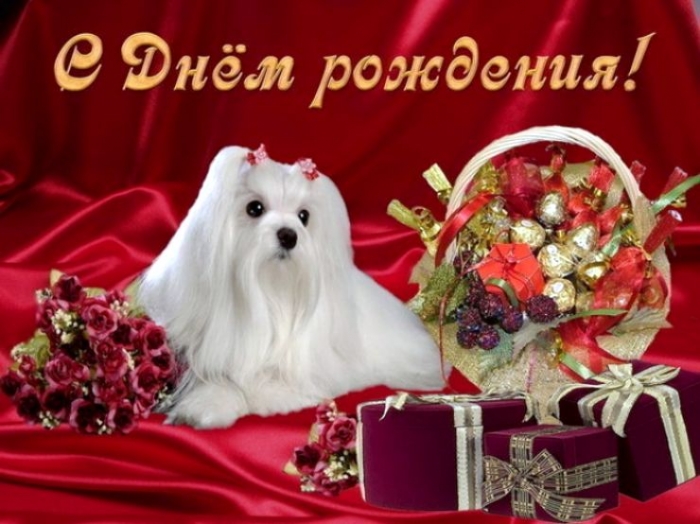 Открытка днём рождения фото Открытка днём рождения фото