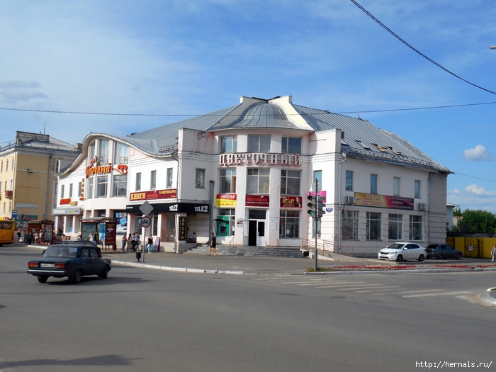 4555640_DSCN0273 (700x525, 269Kb)