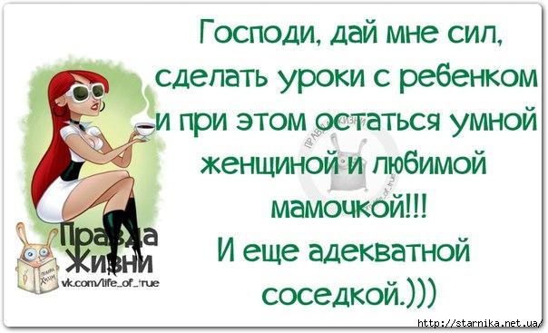каникуЛЫ (5) (604x367, 126Kb)