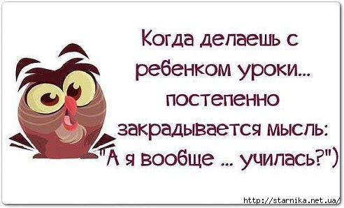 каникуЛЫ (3) (492x298, 83Kb)