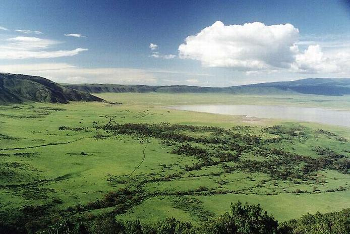 1200px-Ngorongoro кратер 6 (694x464, 294Kb)