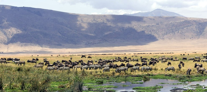 1200px-Ngorongoro кратер 16 (700x310, 258Kb)