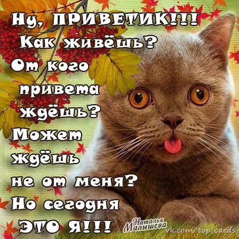 Стих вам живые привет Стих вам живые привет