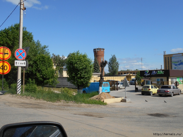 4555640_DSCN0090 (700x525, 292Kb)
