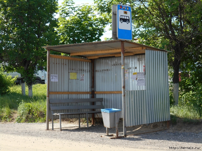 4555640_DSCN0347 (700x525, 389Kb)