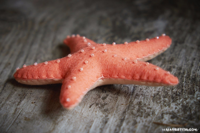 felt_starfish_00005 (700x466, 218Kb)